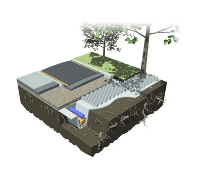 Geocells used in a road construction for ground stabilization and tree root protection