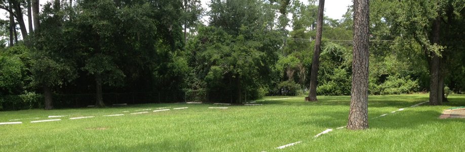 Temporary Parking (Houston, Texas)