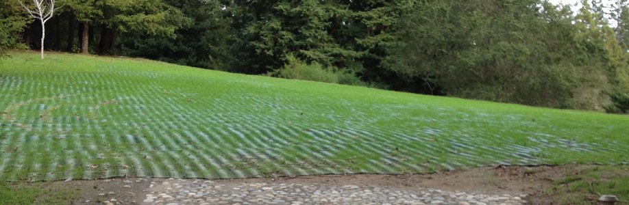 Employee overflow parking (Guerneville, CA)