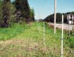 Electric fence at side of highway