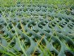 Grass reinforcement mesh structure from TYPAR