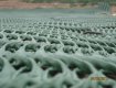 TYPAR GrassProtecta grass reinforcement mesh structure