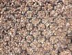 BodPave 85 porous pavers gravel filled